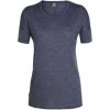 Icebreaker Elements Short Sleeve Low Crewe Womens