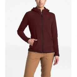 The North Face TKA Glacier Full Zip Hoodie Womens