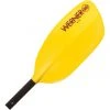 Werner Paddles Werner Rio 1 Piece Kayak Paddle