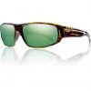 Smith Optics Smith Tenet Sunglasses The 10 Essentials