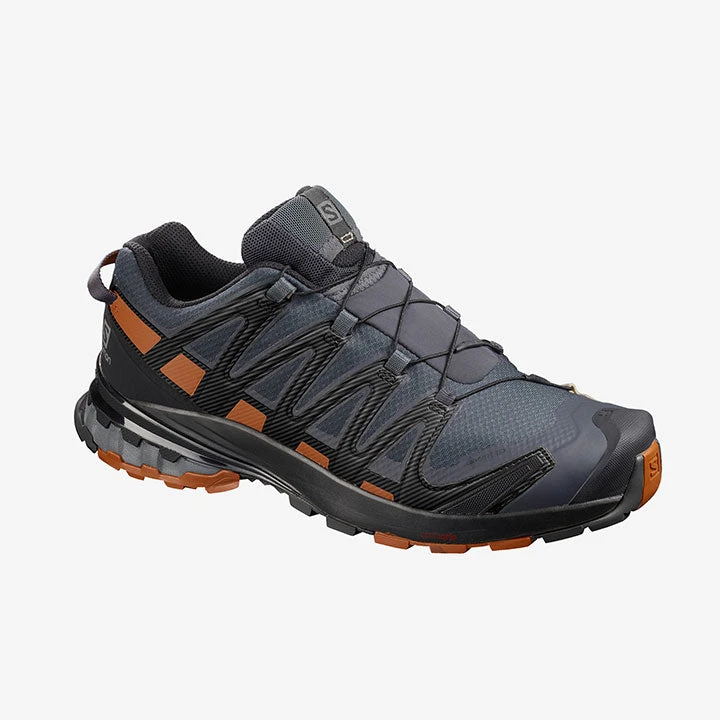 Salomon XA Pro 3D V8 GTX Mens 1 Salomon XA Pro 3D V8 GTX Mens
