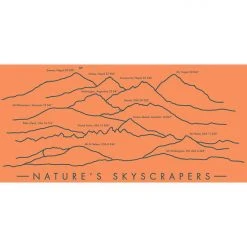 SiliPint Natures Skyscrapers 16oz Pint Cups, Bowls, And Plates