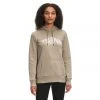 The North Face Holiday Hoodie Womens