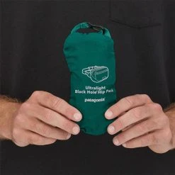 Patagonia Ultralight Black Hole Mini Hip Pack 1L Gear