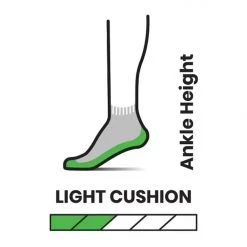 Smartwool Hike Light Cushion Ankle Socks Gear
