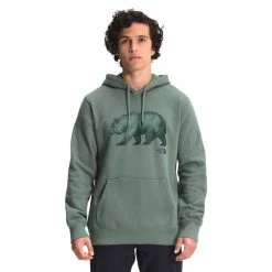 The North Face TNF Bear Pullover Hoodie Mens
