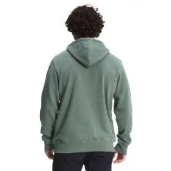 The North Face TNF Bear Pullover Hoodie Mens