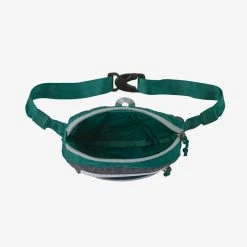 Patagonia Ultralight Black Hole Mini Hip Pack 1L Gear