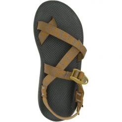 Chaco Z Cloud 2 Sandal Mens
