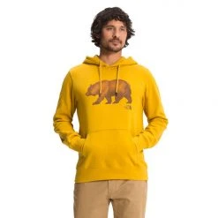 The North Face TNF Bear Pullover Hoodie Mens