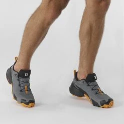 Hiking Salomon Cross Hike GTX Mens