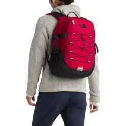 The North Face Borealis Classic Daypack