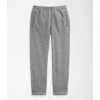 The North Face Gordon Lyons Pant Mens