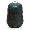 The North Face Borealis Daypack Gear