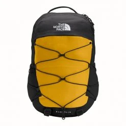 The North Face Borealis Daypack Gear